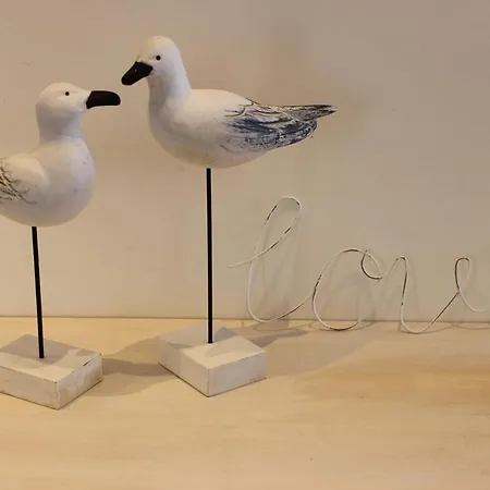 Casa Na - Com Piscina